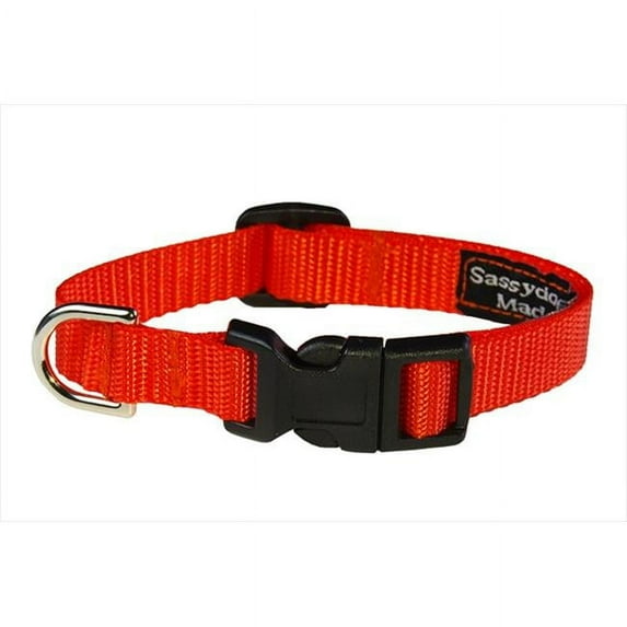Sassy Dog Wear SOLID NEON ORANGE XS-C Nylon Webbing Dog Collar- Neon Orange - Extra Small