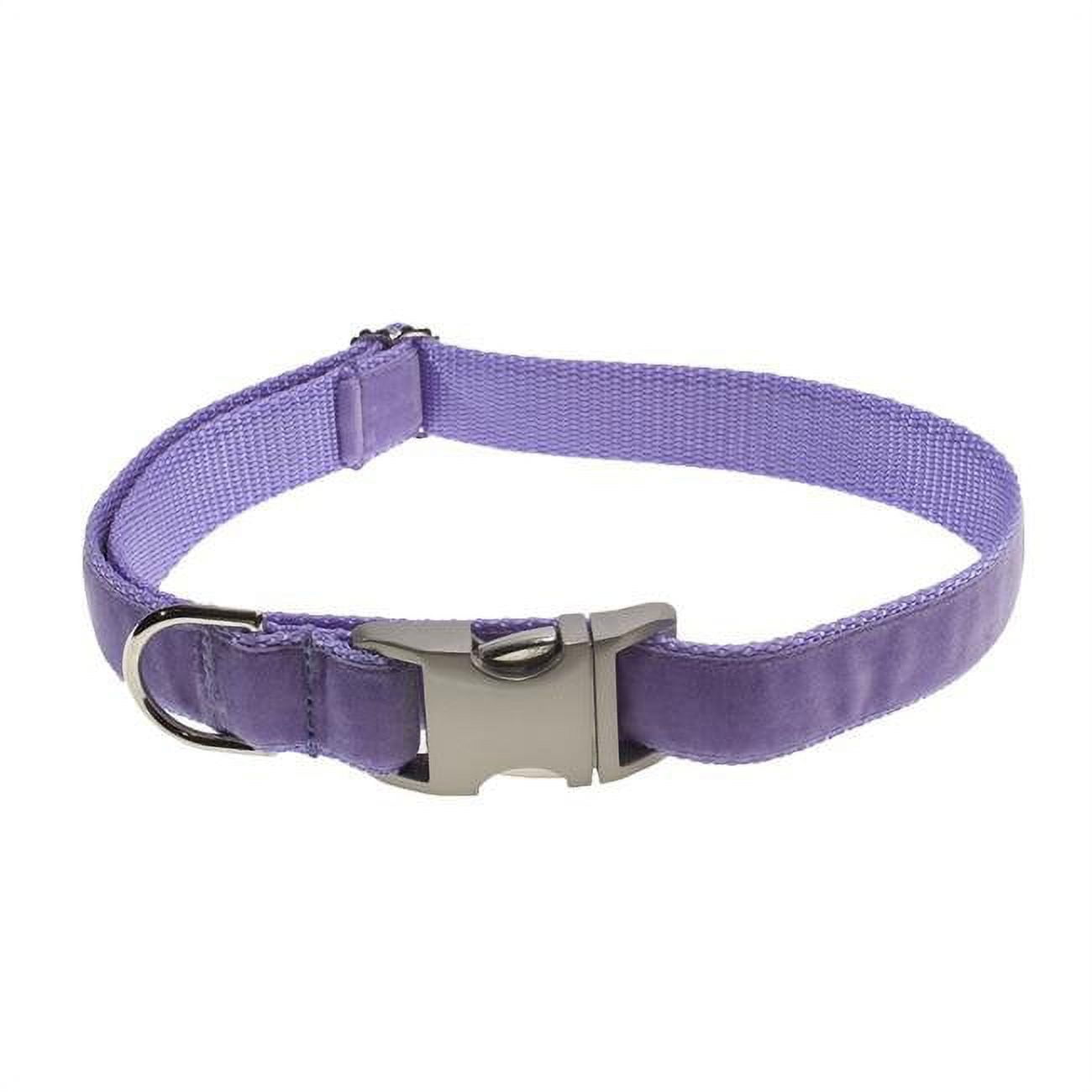 Lavender top dog collar