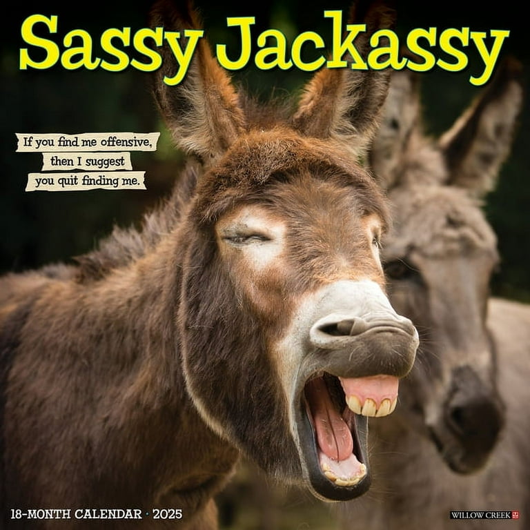 Sassy Jackassy 2025 Wall Calendar - Walmart.com