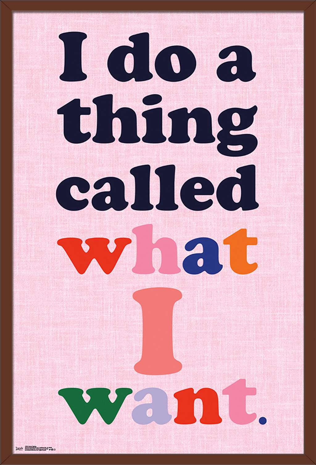 Sassy Saying Wall Poster, 22.375" x 34", Framed