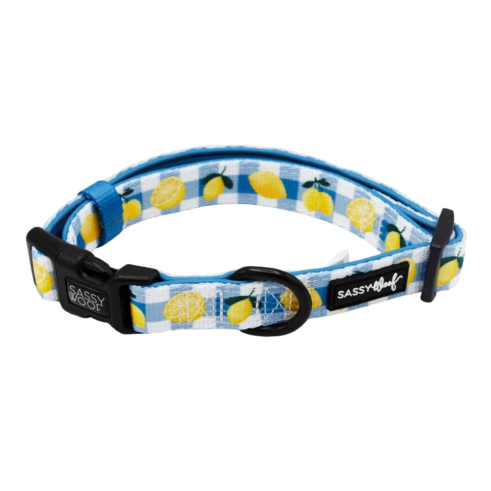 Sassy Woof Cushioned Adjustable Dog Collar - Lemonade Stand, Medium