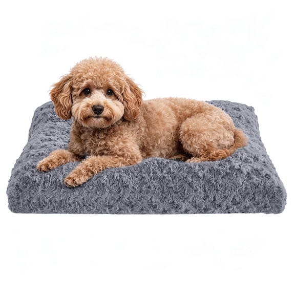Sasttie Small Dog Bed, Soft Rose Velvet Washable Crate Pad for Small and Medium Dogs, Non-Slip Bottom, Suitable Kennel Cage and Cat Bed Mat, 23 x 18 in, Grey