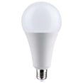 thumbnail image 1 of 30W LED A25 5000K E26 Medium Base Non Dimmable 120v -300w equiv, 1 of 4