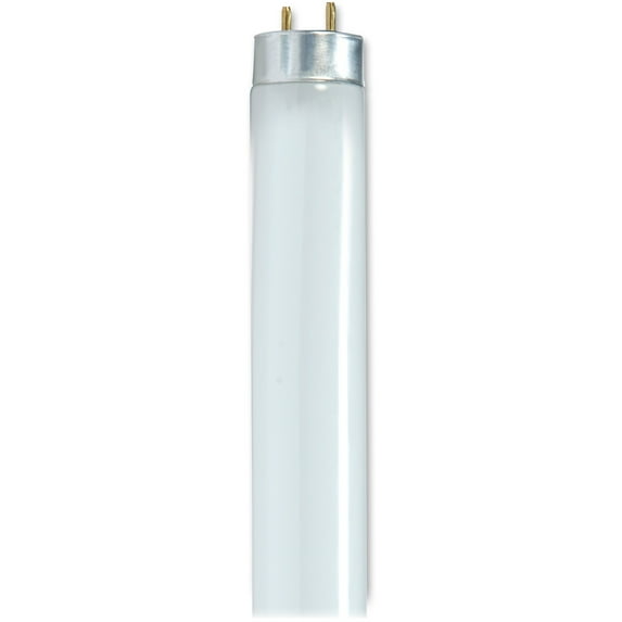 Satco 32-watt 48" T8 Fluorescent Bulbs - 32 W - 120 V Ac - 3050 Lm - T8 Size - Cool White Light Color - 24000 Hour - 6920.3°f (3826.8°c) Color Temperature - 85 Cri - 6 / Carton