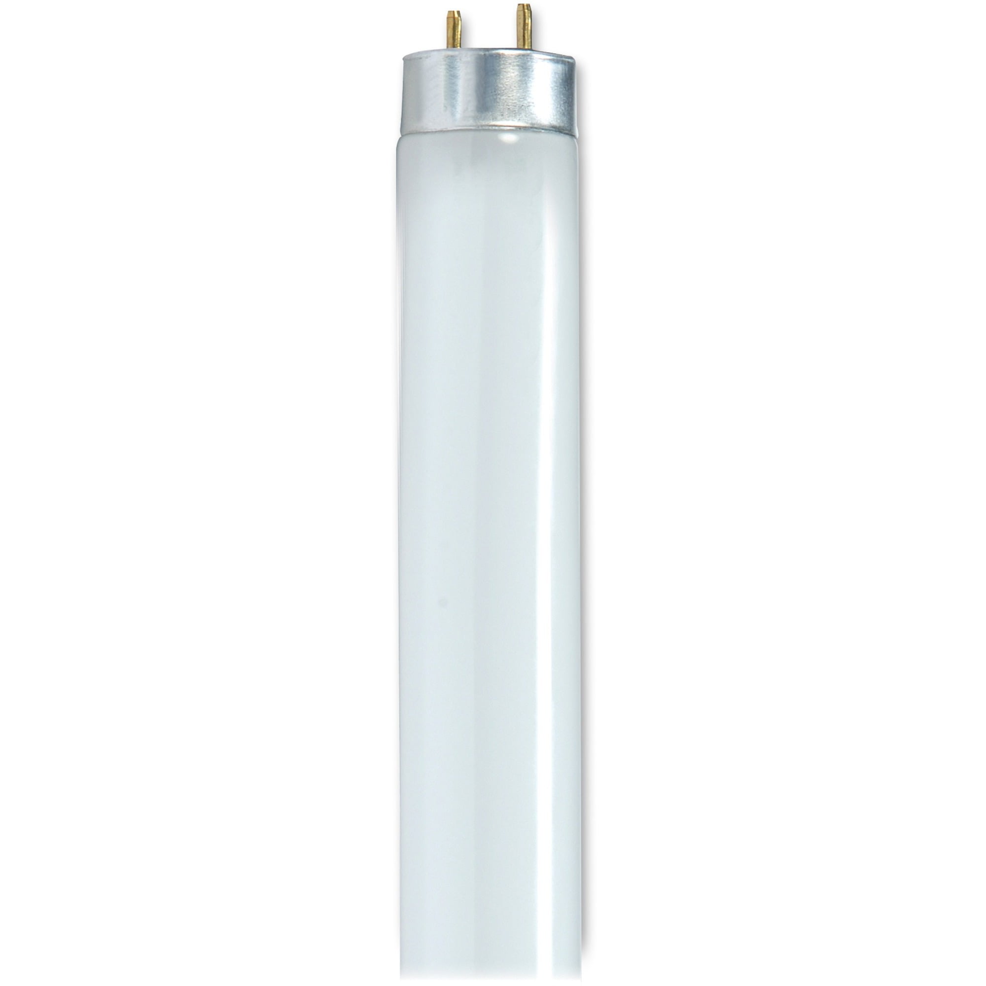 Satco 32-watt T8 Fluorescent Bulbs - 32 W - 120 V Ac - T8 Size - Cool White Light Color - G13 Base - 24000 Hour - 6920.3°f (3826.8°c) Color Temperature - 85 Cri - 30 / Carton