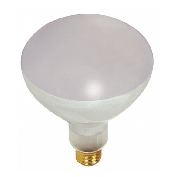 Satco Reflector Lamp,BR40 Bulb Shape,5500 lm S7007