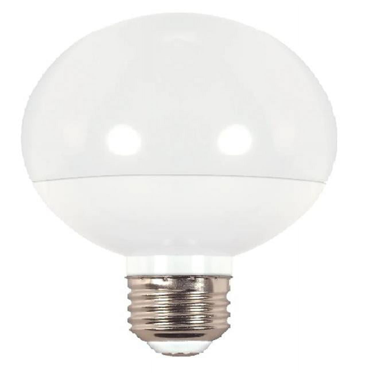White Frosted A19 LED Energy Star Light Bulb