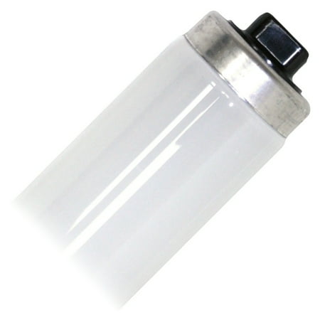 Satco Fluorescent 75W Daylight Light Bulbs, High Output