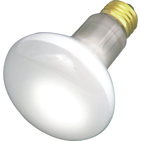 Satco Incandescent 30W Frosted Light Bulbs, 2000 Average Rated Hours