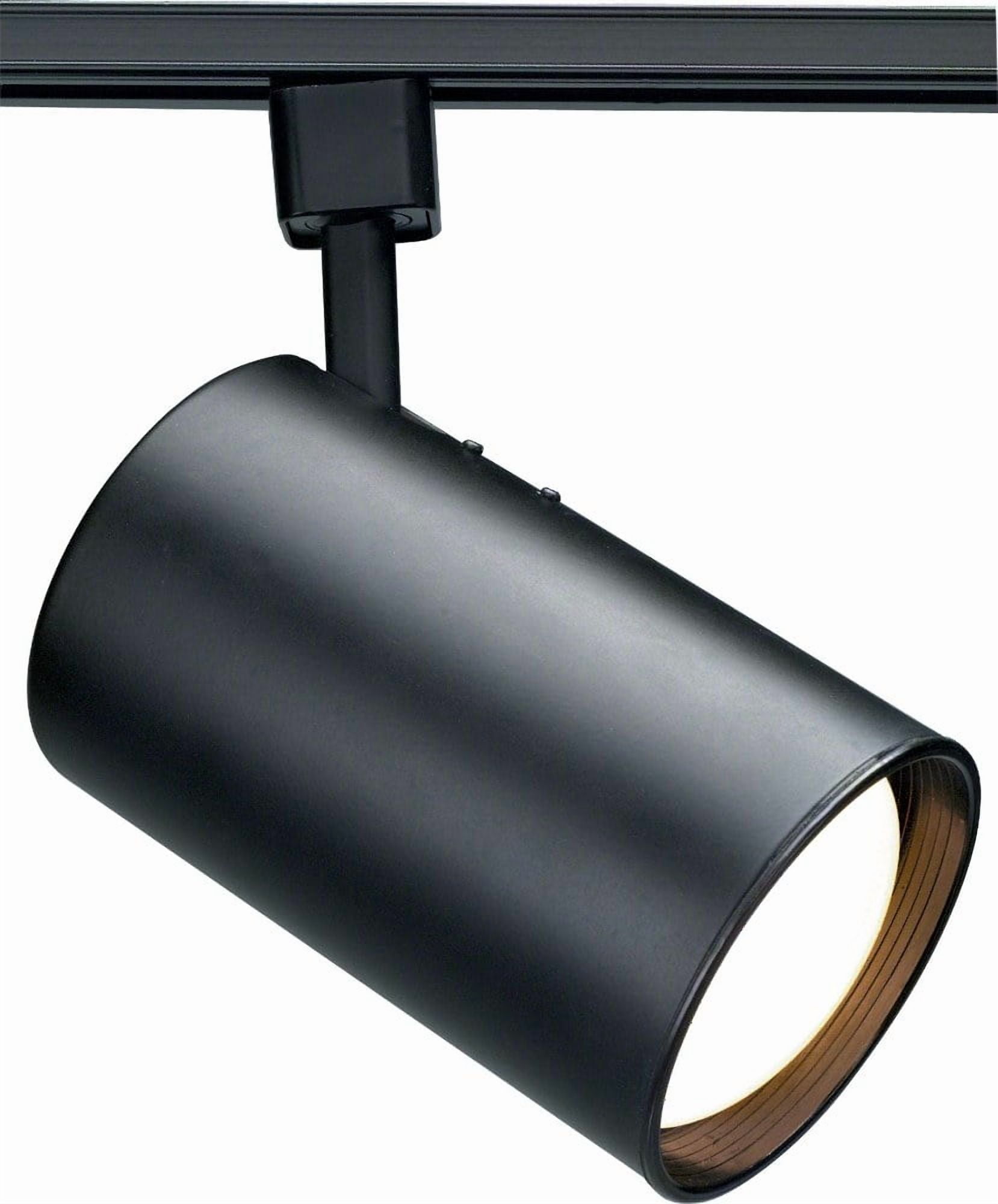 1 - Light Black Track Lighting