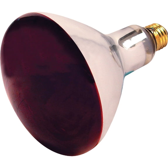 Satco S4998 250 Watt R40 Dimmable Red Heat Lamp Bulbs