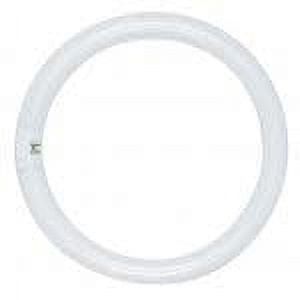 Satco S6502 - 22 watt; T9; Circline Fluorescent; 3000K Warm White; 52 CRI; 4-Pin base