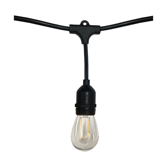 Satco S8020 24 ft. LED String Light, Clear