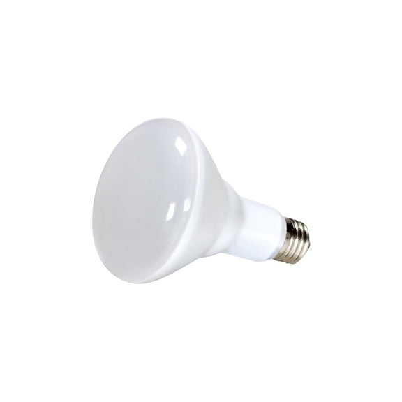 10BR30/LED/2700K/120V/D