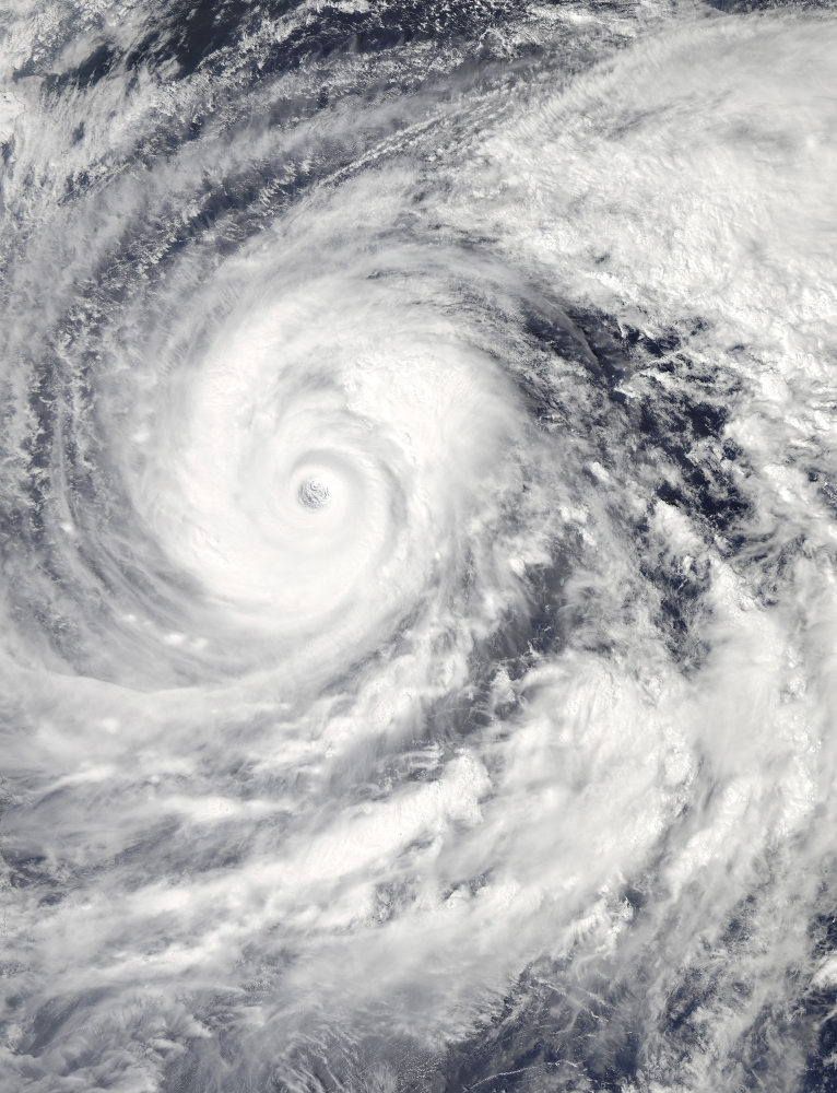 Satellite view of Super Typhoon Vongfong in the Philippine Sea Canvas Art - Stocktrek Images (25 x 32)
