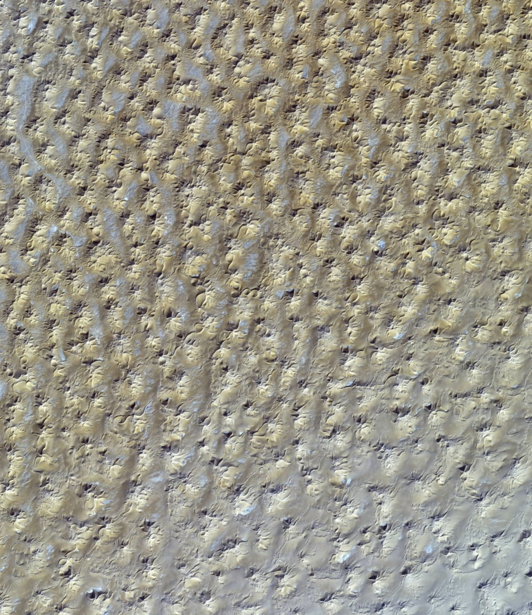 Satellite view of the Grand Erg Oriental sand dunes in the Saharan Desert Canvas Art - Stocktrek Images (26 x 30)
