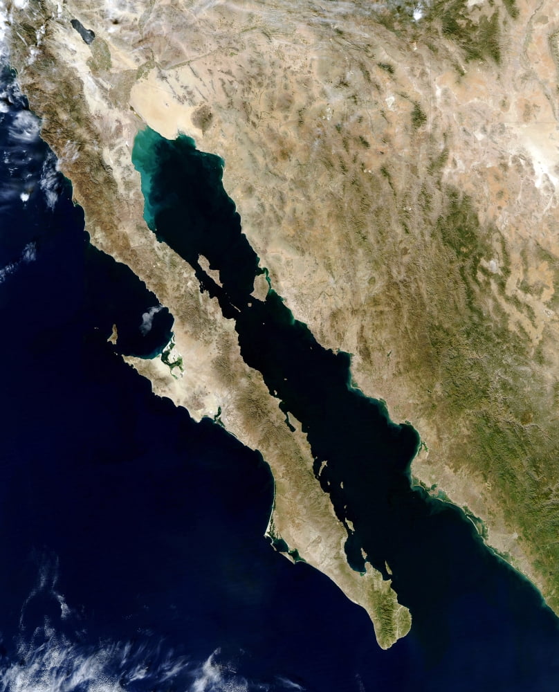 Satellite view of the Gulf of California Canvas Art - Stocktrek Images (25 x 31)