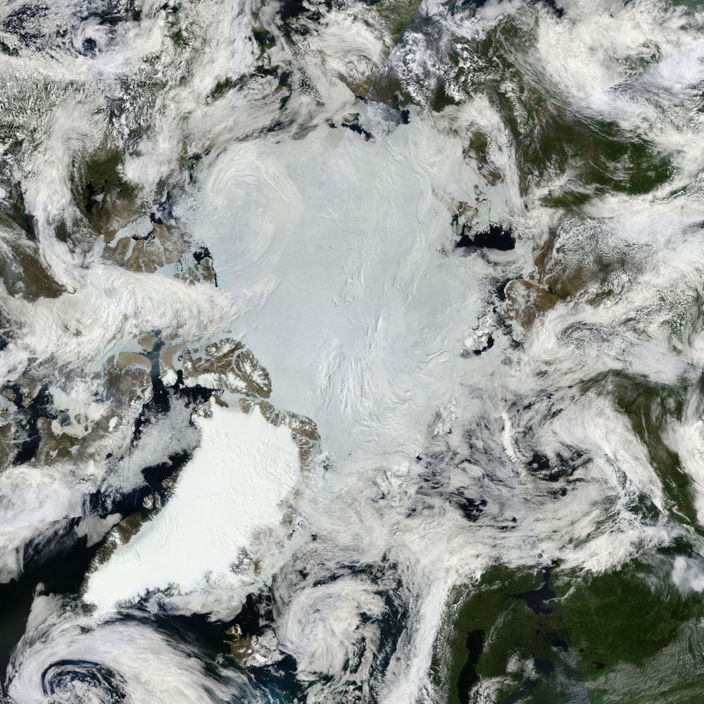 Satellite view of the North Pole Canvas Art - Stocktrek Images (28 x 28)