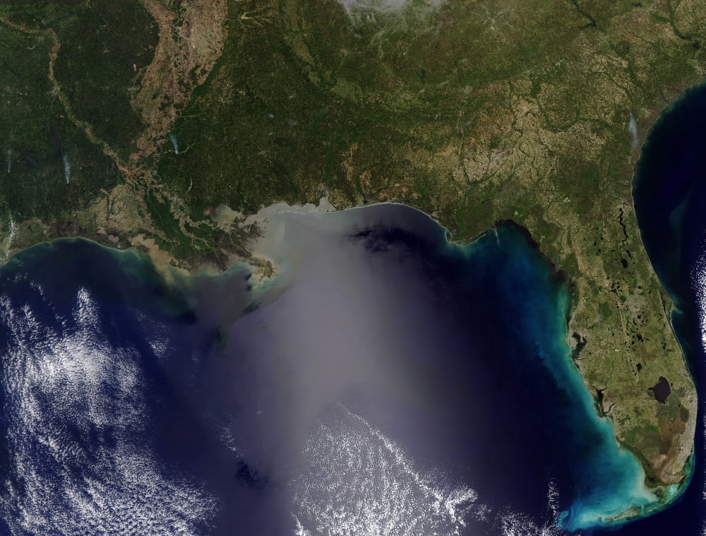 Satellite view of the Southeastern United States Canvas Art - Stocktrek Images (32 x 24)