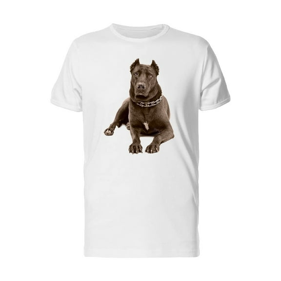 Satffodshire Relaxing Photo T-Shirt Men -Image by Shutterstock, Male XX-Large