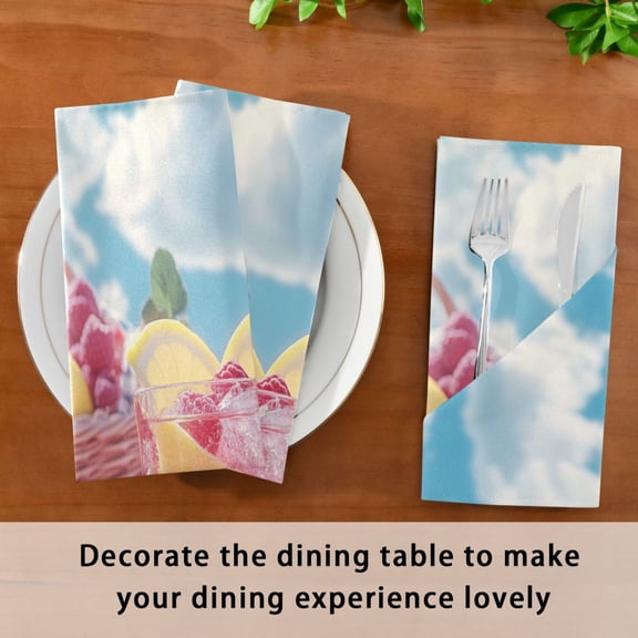 Satin Native Fab Cotton Dinner Napkin Raspberry Lemonade Summer Drink Reusable
