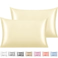 thumbnail image 1 of Satin Pillow Case, 2 Pack Satin Silky Pillowcase for Hair and Skin, Satin Pillowcase Set of 2, Queen, 20" x 30", Beige, 1 of 8