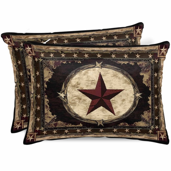 Satin Pillowcases Standard Size, Farmhouse Country Vintage Wood Grain Silk Pillow Cases for Hair and Skin with Zipper 2 Pack, Western Stars Brown Smooth Throw Pillow Covers for Sleeping, 20"x26"