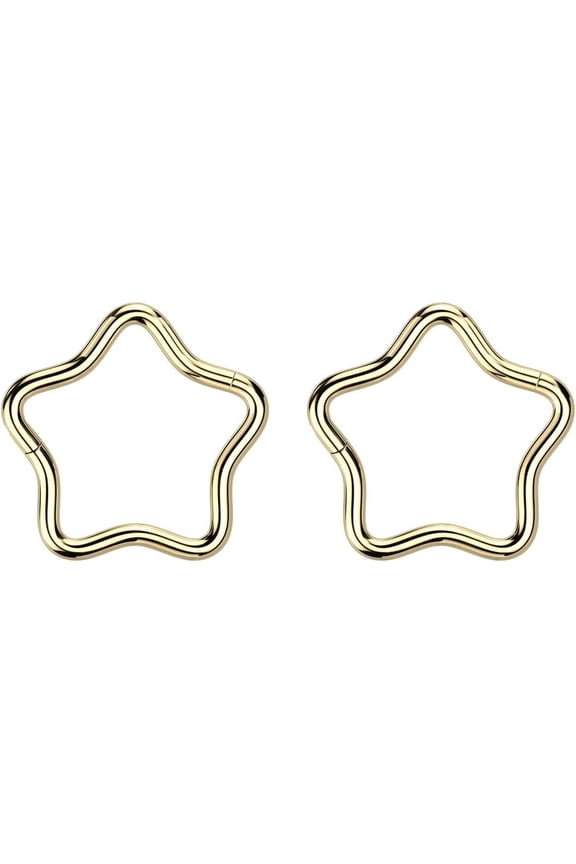 2PCS IMPLANT GRADE G23 Titanium PVD Plated 18G Star Hinged Segment Ring Nose Hoop Sleeper Earring Rook Conch Helix Daith Tragus