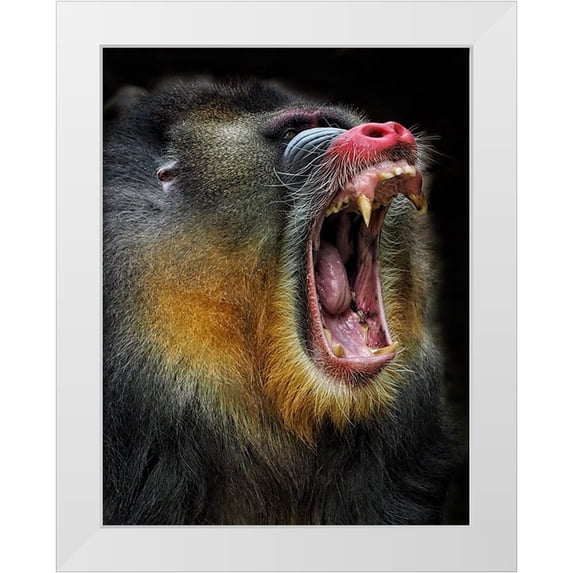 Satria Said, Asa 15x18 White Modern Wood Framed Museum Art Print Titled - Yawn