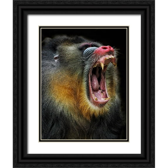 Satria Said, Asa 19x24 Black Ornate Wood Framed with Double Matting Museum Art Print Titled - Yawn