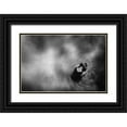 thumbnail image 1 of Satriani, Jay 24x17 Black Ornate Wood Framed with Double Matting Museum Art Print Titled - Dilemmas Of Love, 1 of 4
