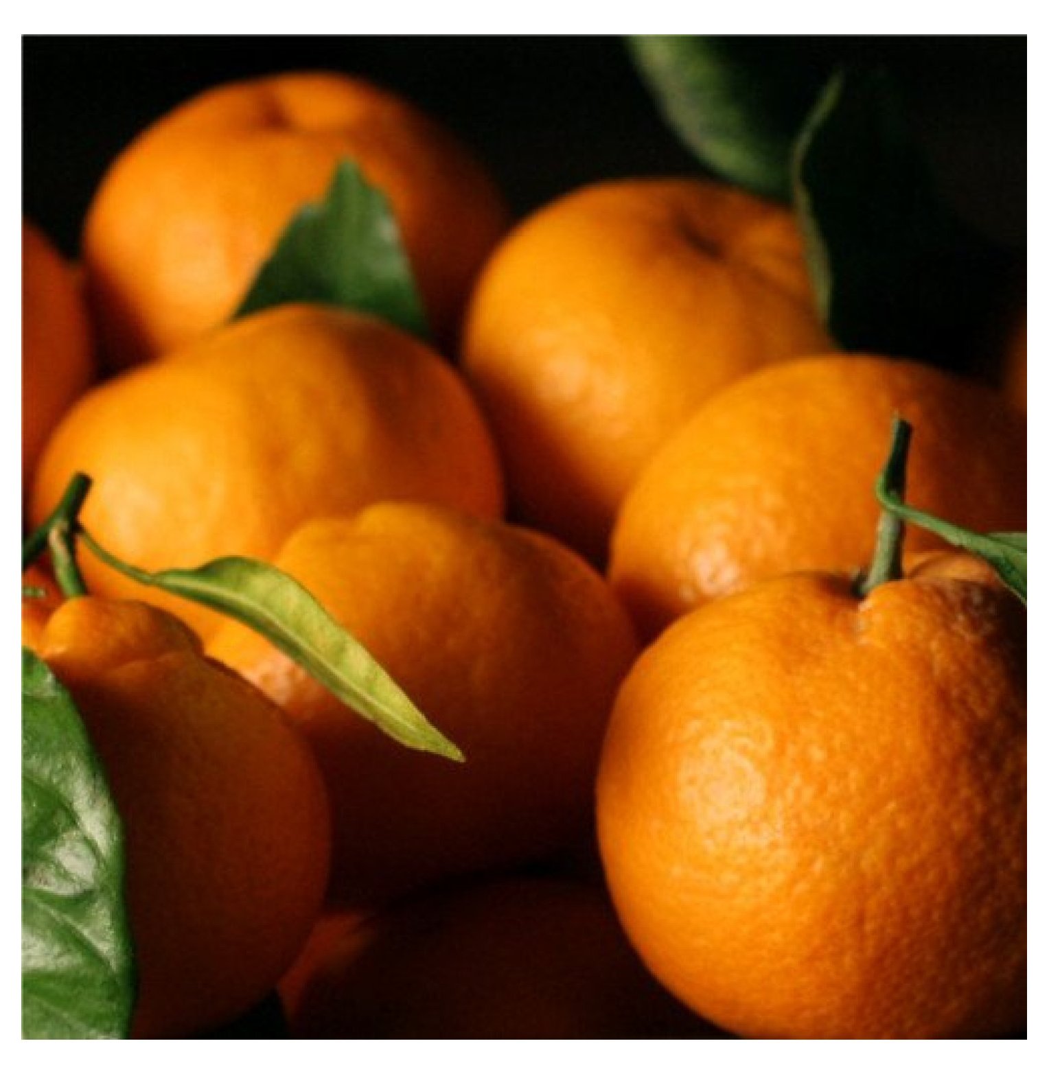 Satsuma Mandarins 4 lb