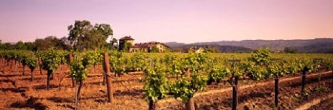 Sattui Winery Napa Valley California USA Canvas Art - Panoramic Images (18 x 6)