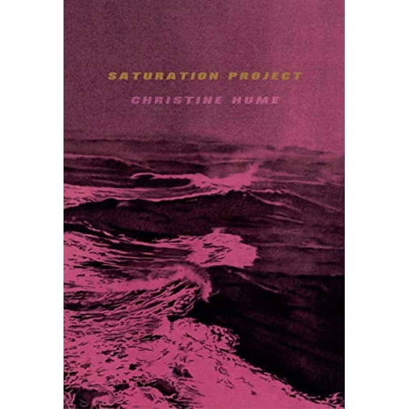 Saturation Project (Paperback)