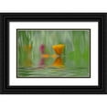 thumbnail image 1 of Satushek, Steve 14x10 Black Ornate Wood Framed with Double Matting Museum Art Print Titled - WA, Abstract of California poppy in water, 1 of 4