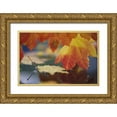 thumbnail image 1 of Satushek, Steve 14x11 Gold Ornate Wood Framed with Double Matting Museum Art Print Titled - WA, Bellingham, Autumn vine maple leaves, 1 of 4