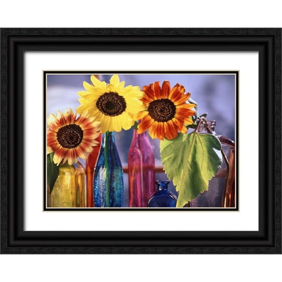 Satushek, Steve 24x18 Black Ornate Wood Framed with Double Matting Museum Art Print Titled - USA, Washington, Bellingham