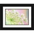 thumbnail image 1 of Satushek, Steve 32x23 Black Ornate Wood Framed with Double Matting Museum Art Print Titled - Washington, Cow parsnip flower, 1 of 4