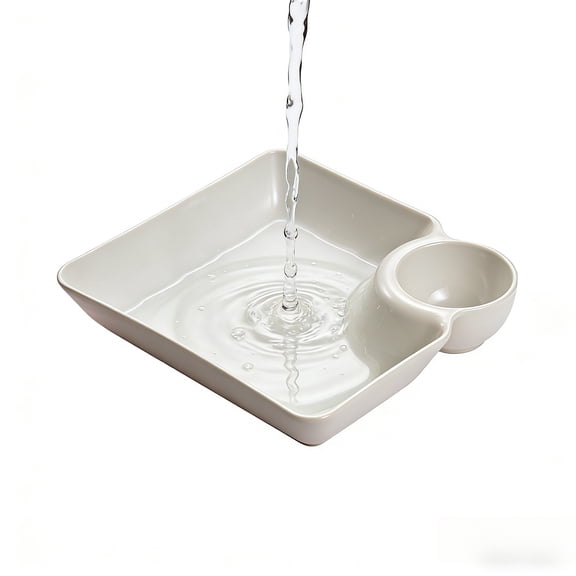 Sauce Separated Plate Chip and Dip Serving Dish with Built-in Well, Reusable Plastic Plates for Snacks, Appetizers, Fruits, Party Platter