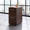 thumbnail image 1 of Sauder Affirm Engineered Wood 2-Drawer Mobile Filing Cabinet in Noble Elm/Brown, 1 of 10