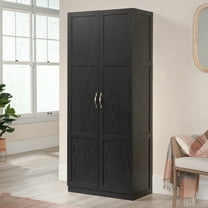 Sauder Select Engineered Wood Storage Cabinet in Black Finish