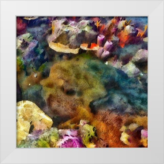 Saunders, Alonzo 12x12 White Modern Wood Framed Museum Art Print Titled - Sea Life IV