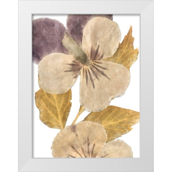Saunders, Alonzo 19x24 White Modern Wood Framed Museum Art Print Titled - Neutral Pansy I