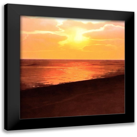 Saunders, Alonzo 20x20 Black Modern Framed Museum Art Print Titled - Sunset Dreams II