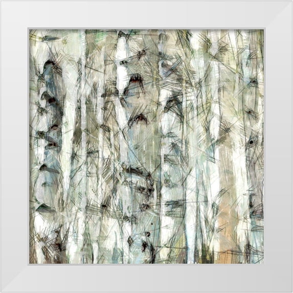 Saunders, Alonzo 26x26 White Modern Wood Framed Museum Art Print Titled - Birch Bunch III