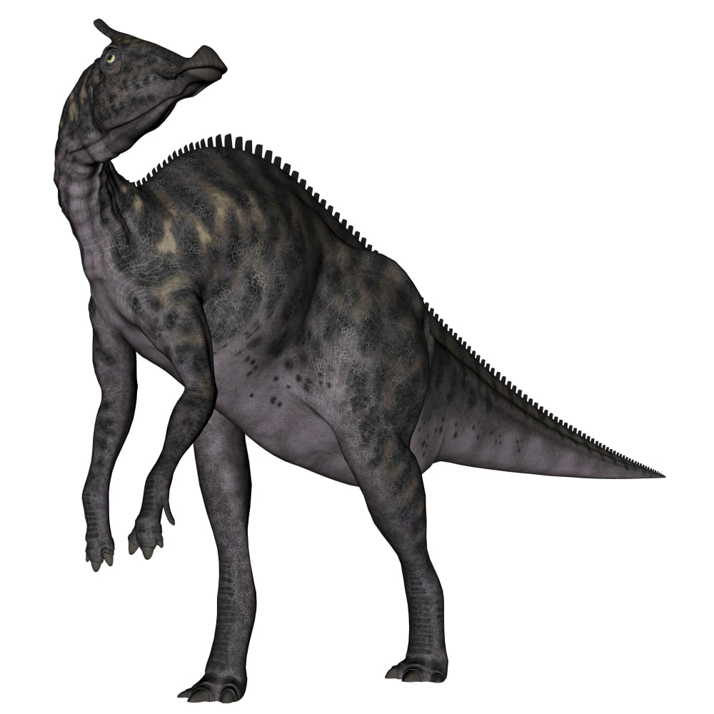 Saurolophus dinosaur Canvas Art - Elena DuvernayStocktrek Images (29 x 29)