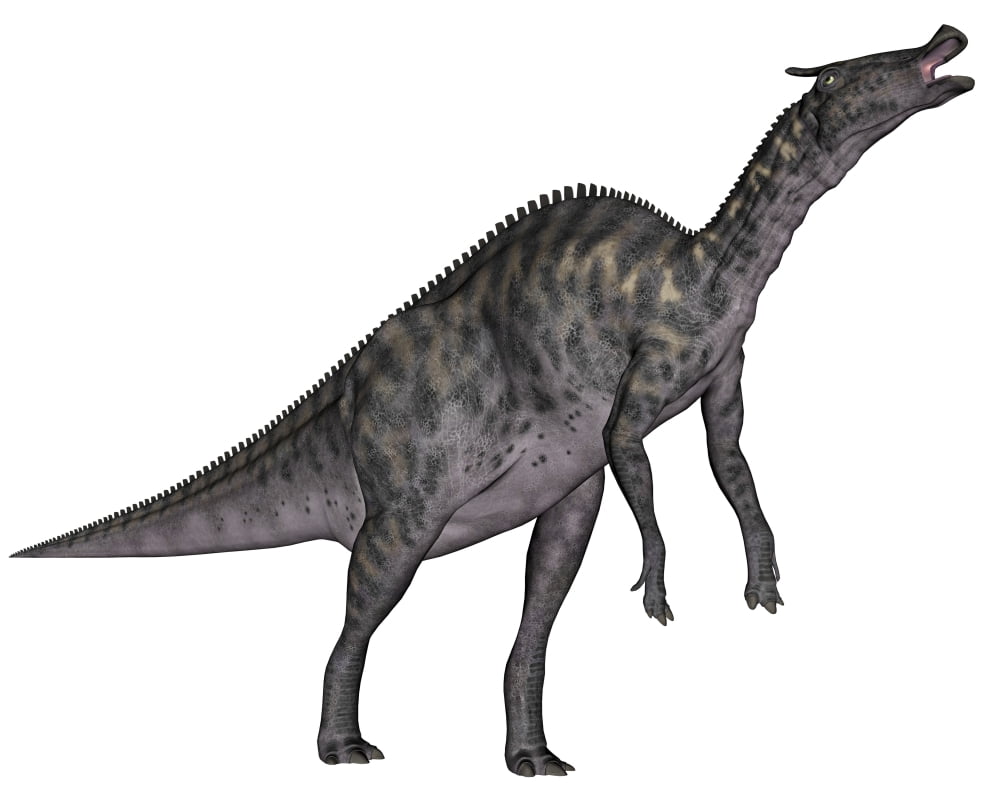 Saurolophus dinosaur Canvas Art - Elena DuvernayStocktrek Images (32 x 26)