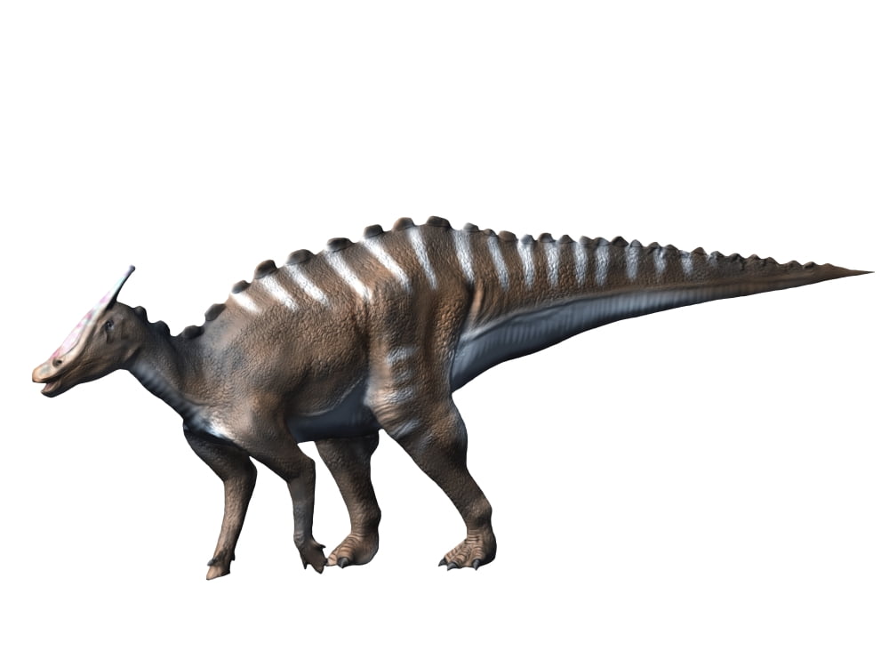 Saurolophus dinosaur Canvas Art - Nobumichi TamuraStocktrek Images (33 x 25)