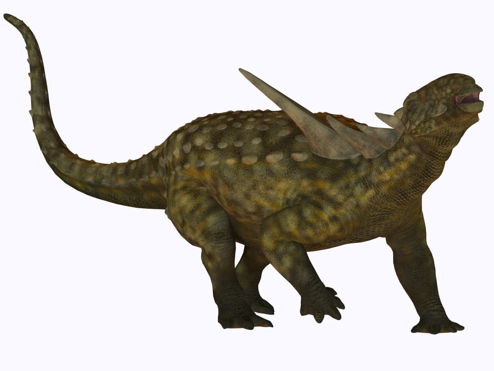 Sauropelta a herbivorous dinosaur from the Cretaceous Period Canvas Art - Corey FordStocktrek Images (17 x 13)