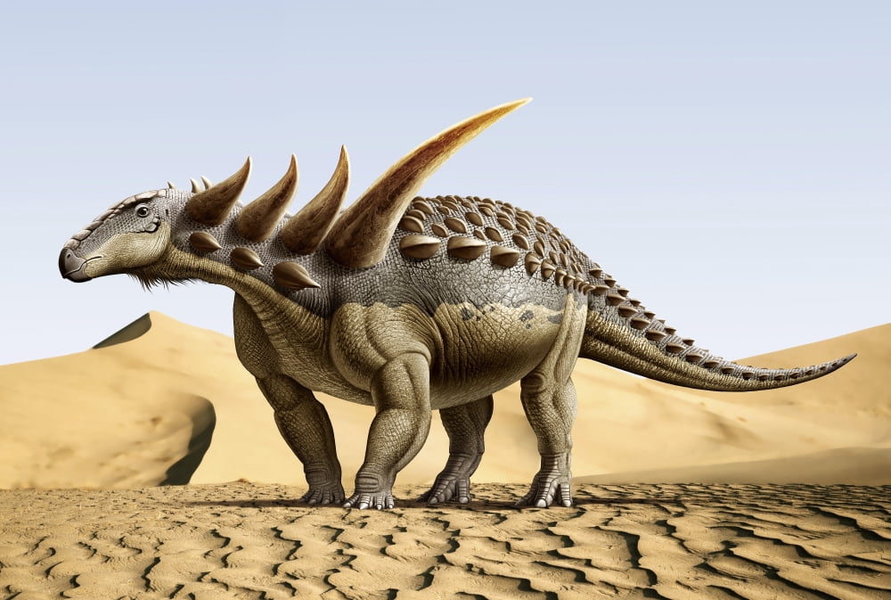 Sauropelta a nodosaurid dinosaur from the Cretaceous Period Canvas Art - Mohamad HaghaniStocktrek Images (18 x 12)